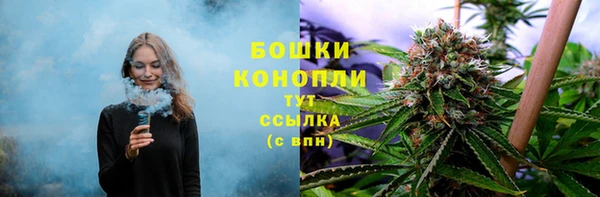 СК Богородицк