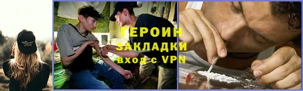 прущие грибы Белокуриха