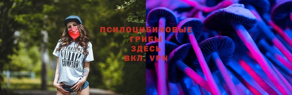 крисы Богданович