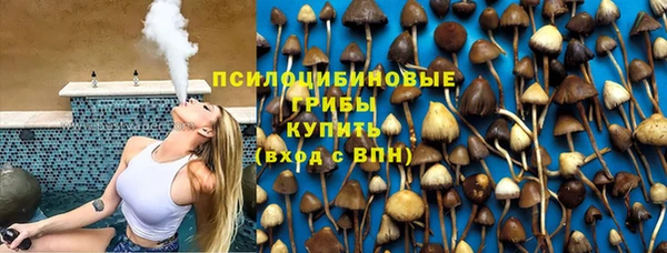 прущие грибы Белокуриха