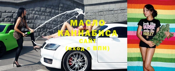 сатива Бородино