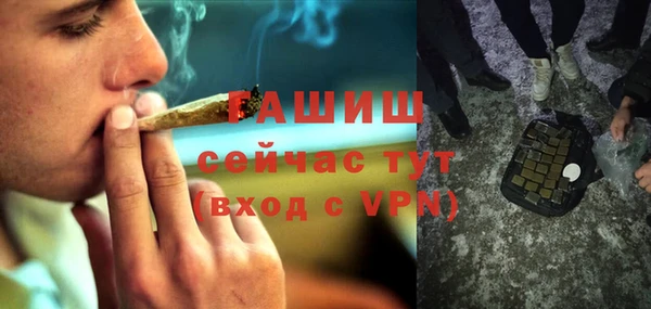 прущие грибы Белокуриха