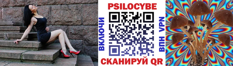 Псилоцибиновые грибы Psilocybe  Белёв 